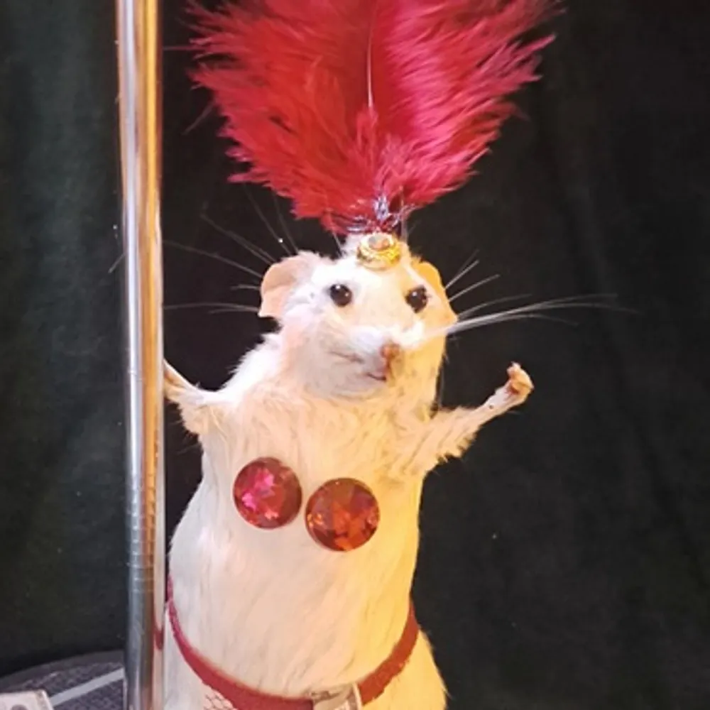 djig.bsky.social's profile picture