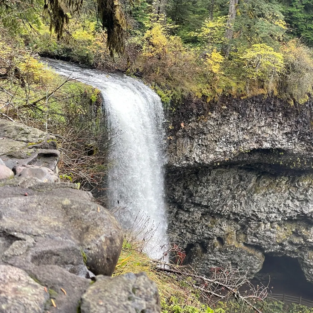 shobes.bsky.social's profile picture