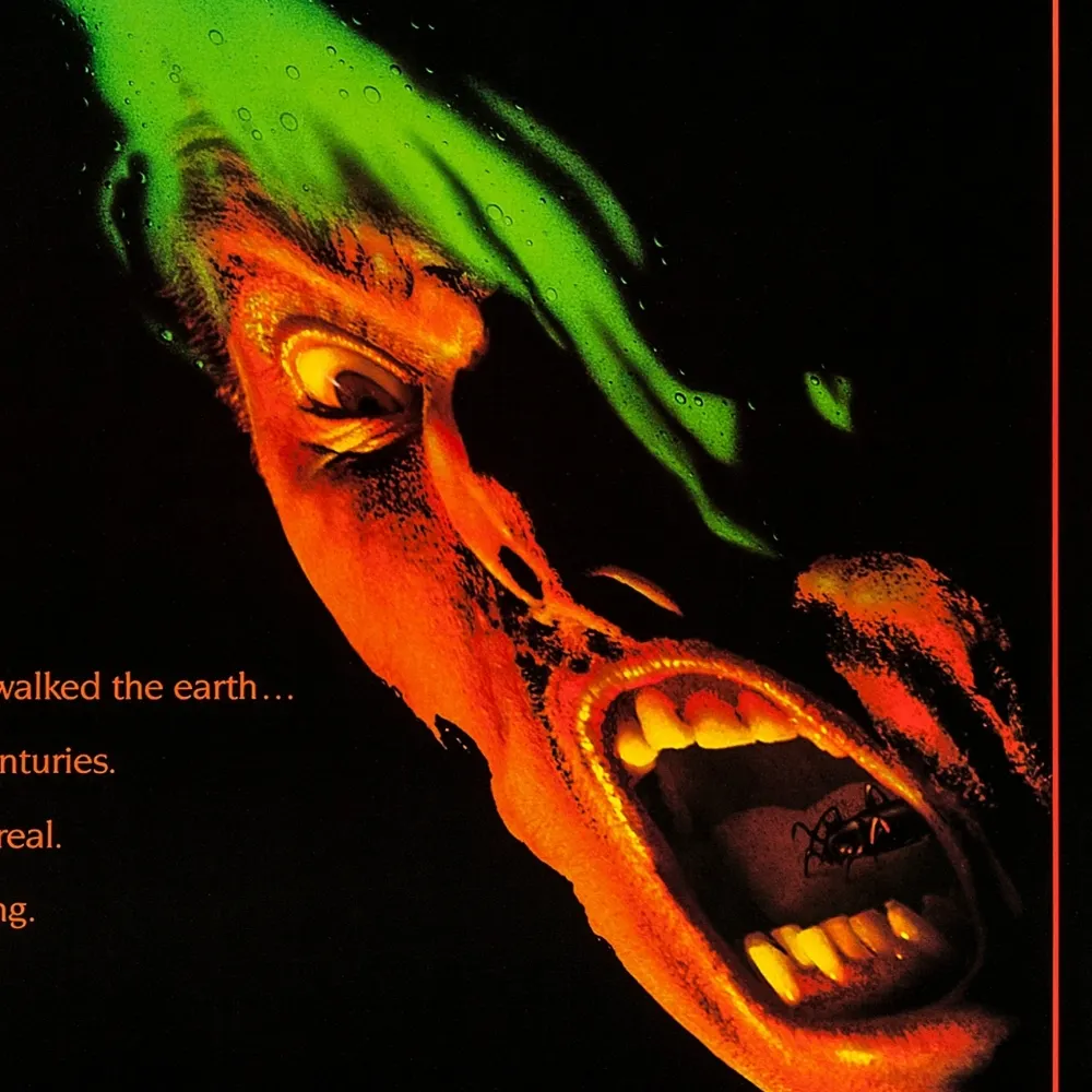 dunkan.bsky.social's profile picture