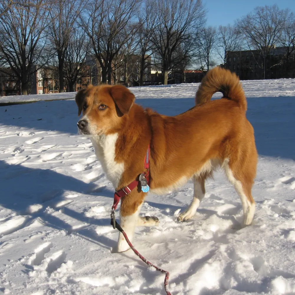 jonrossjan.bsky.social's profile picture