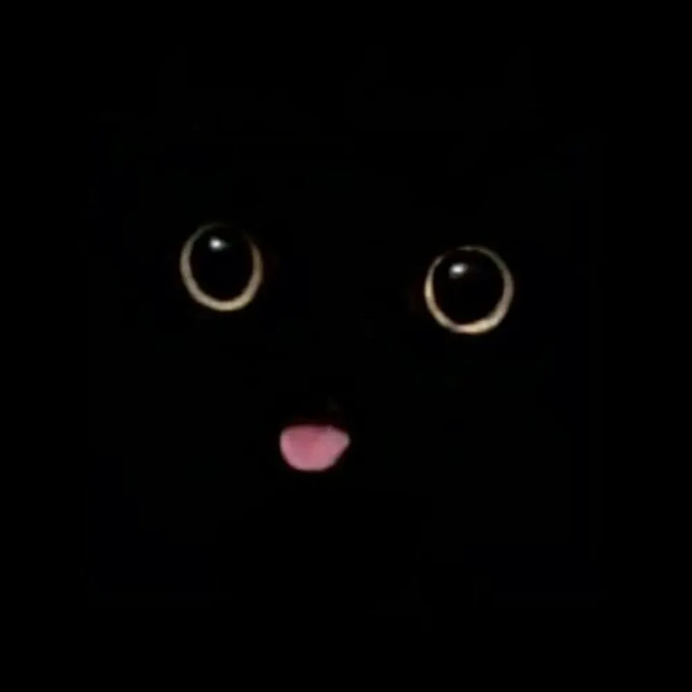 amelieronron.bsky.social's profile picture