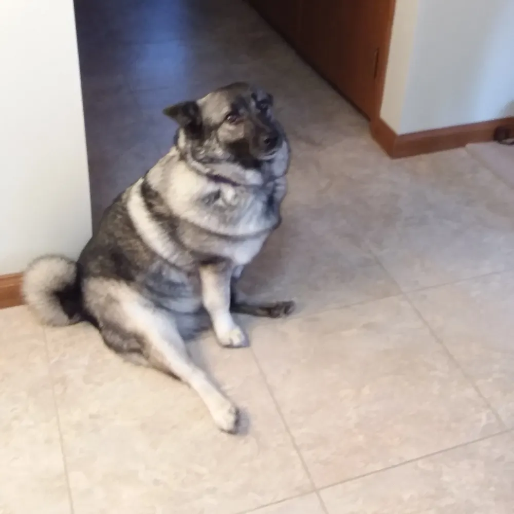 clb68.bsky.social's profile picture