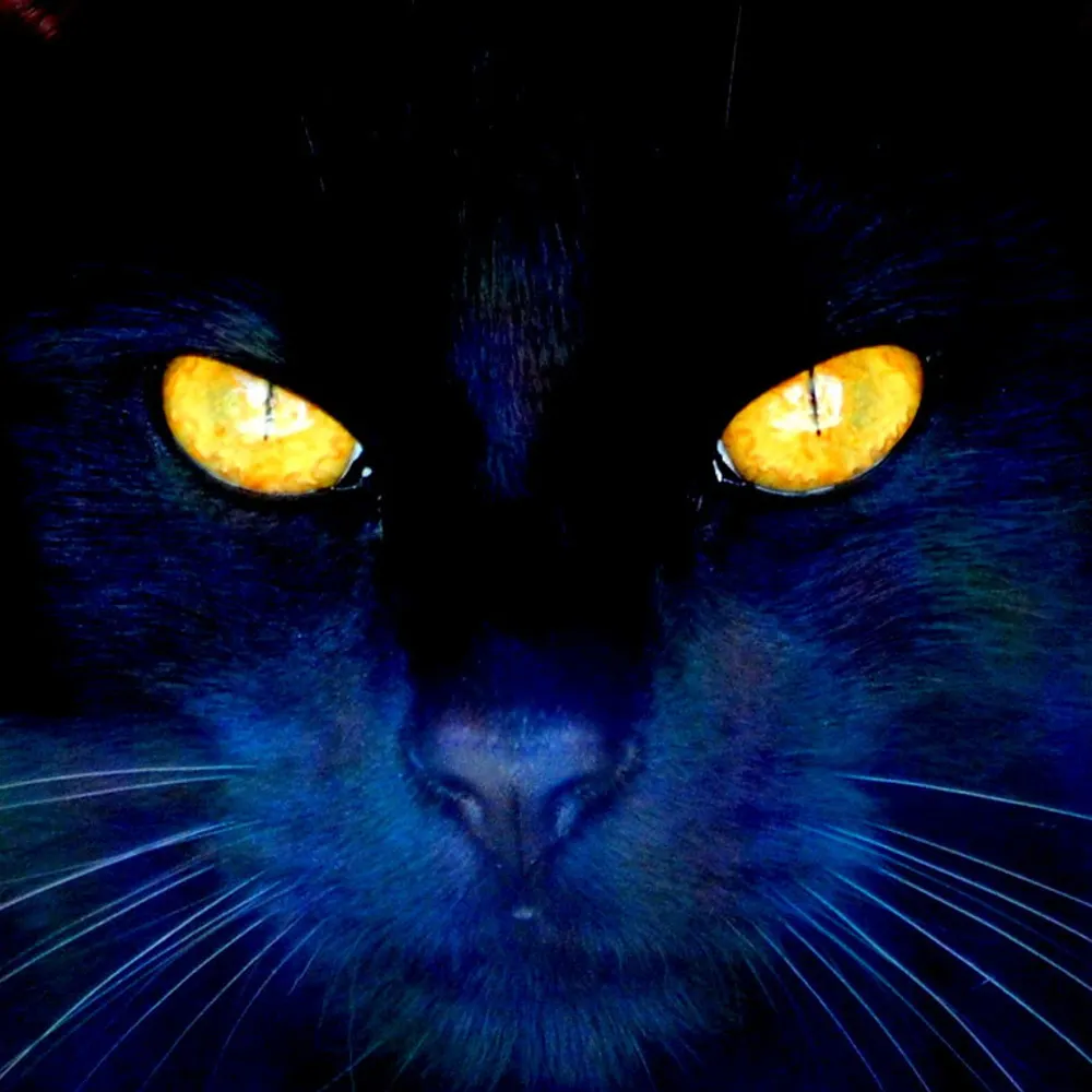 mrsfridley787.bsky.social's profile picture