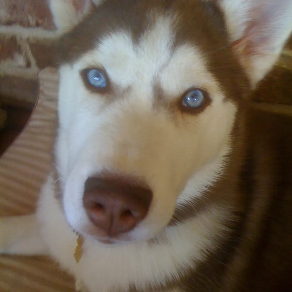 suredontknow.bsky.social's profile picture