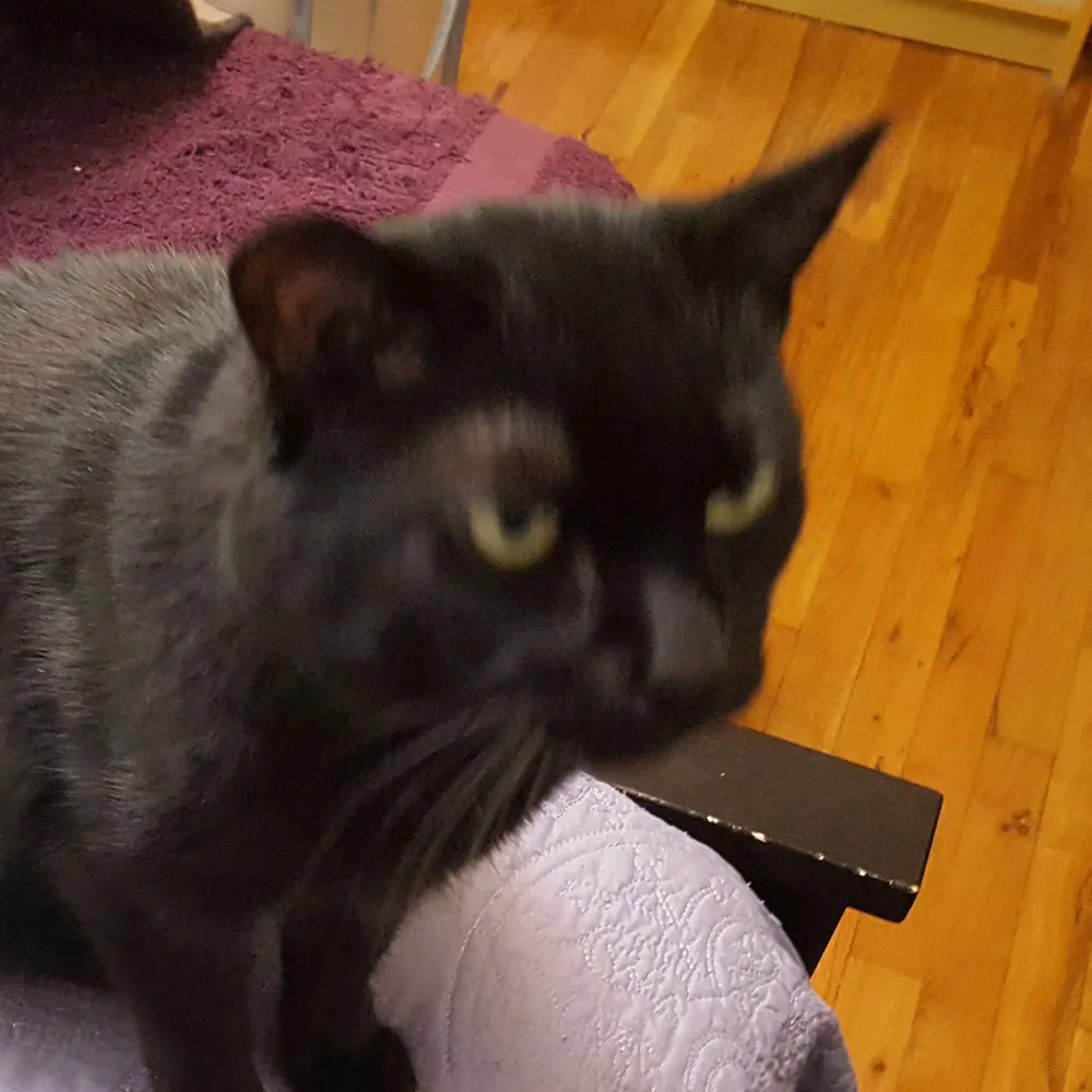 noplot.bsky.social's profile picture