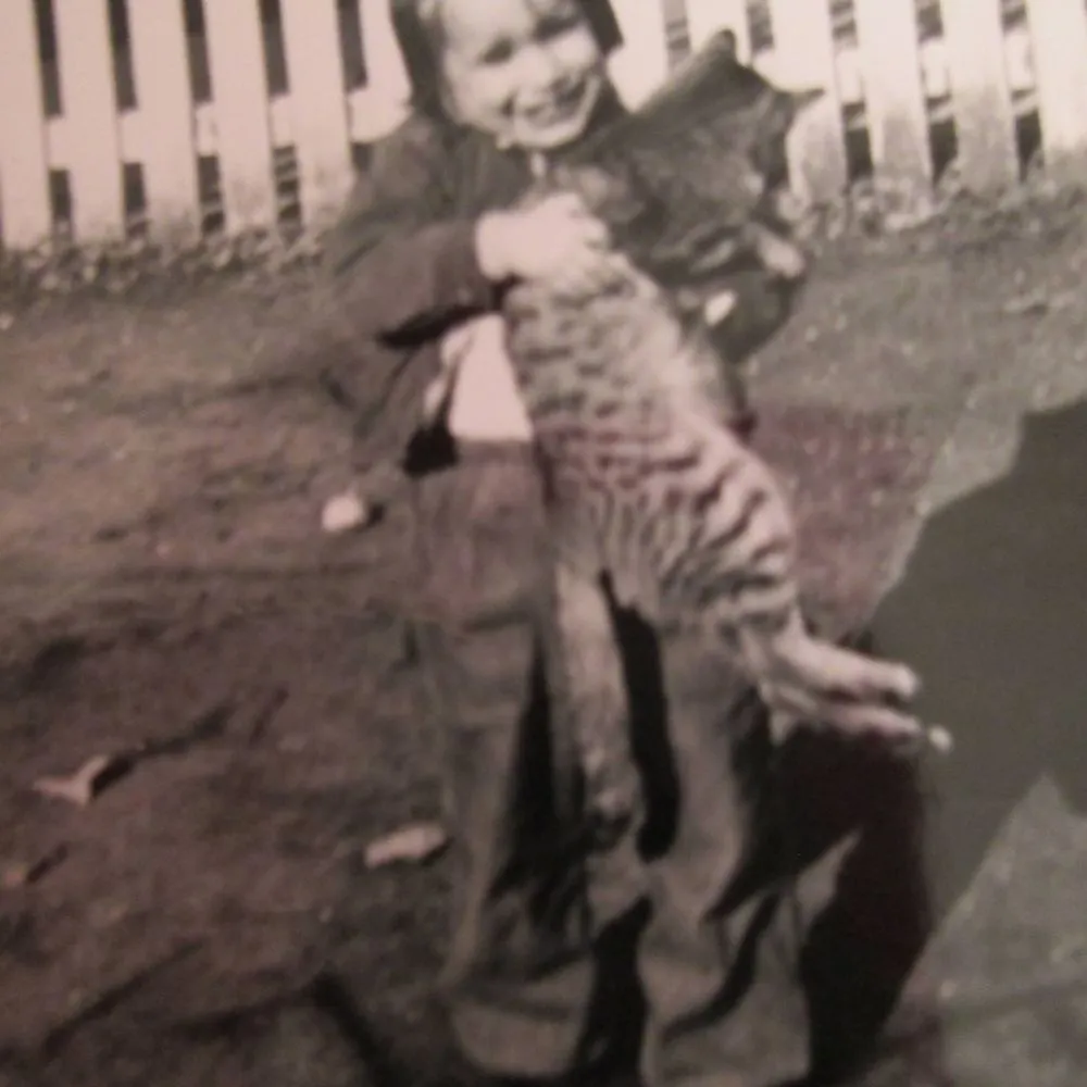 mimirtherememberer.bsky.social's profile picture