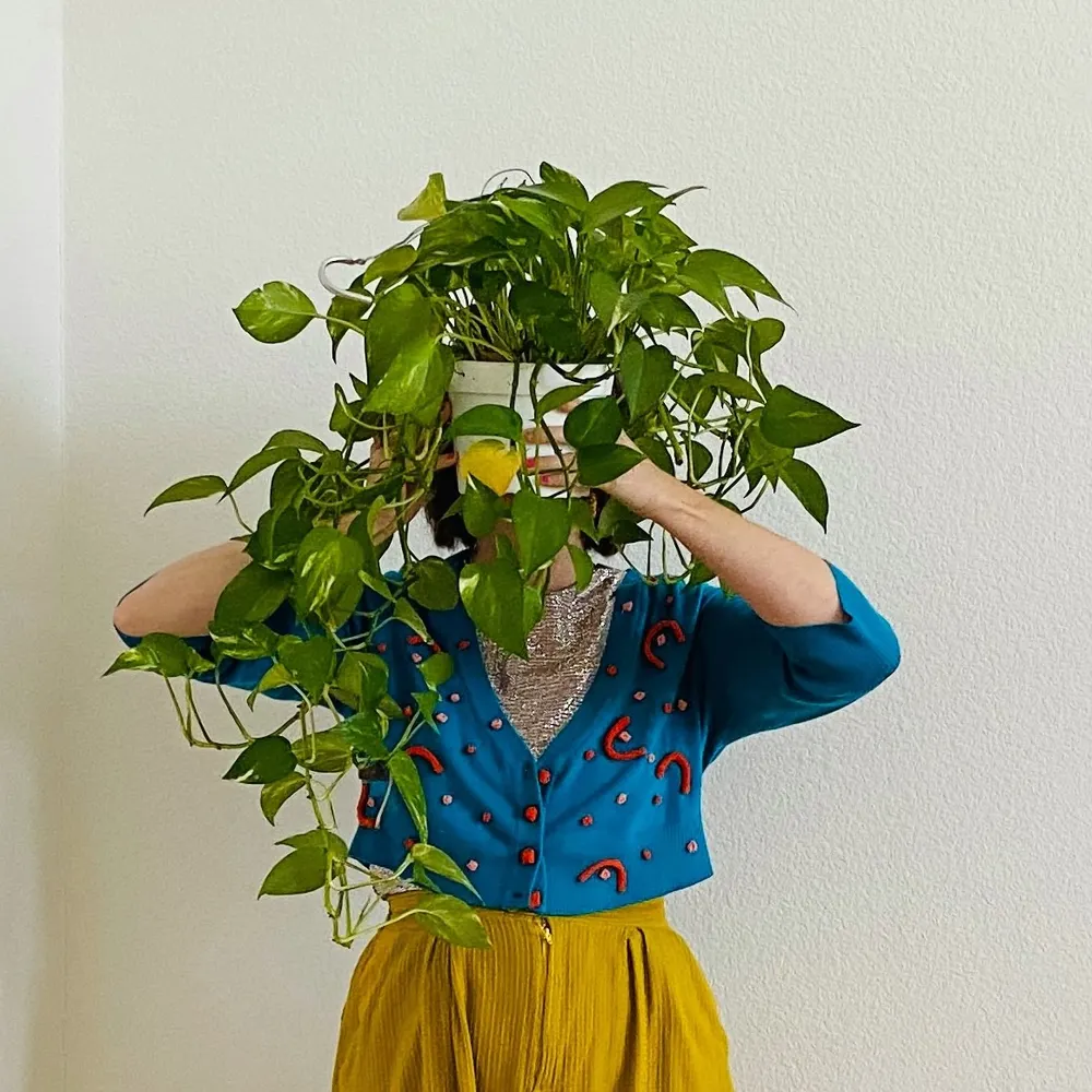 artworms.bsky.social's profile picture