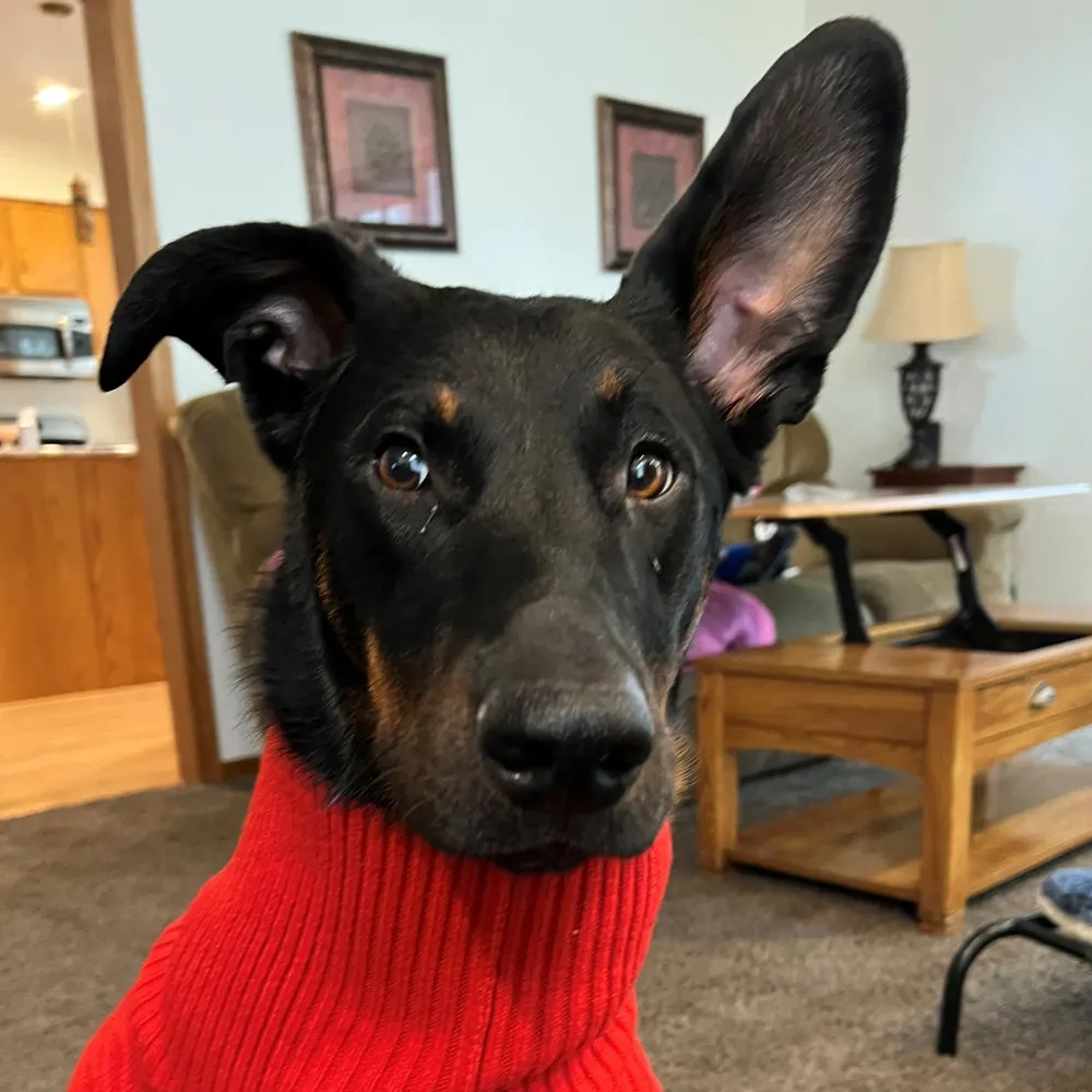 rademan.bsky.social's profile picture