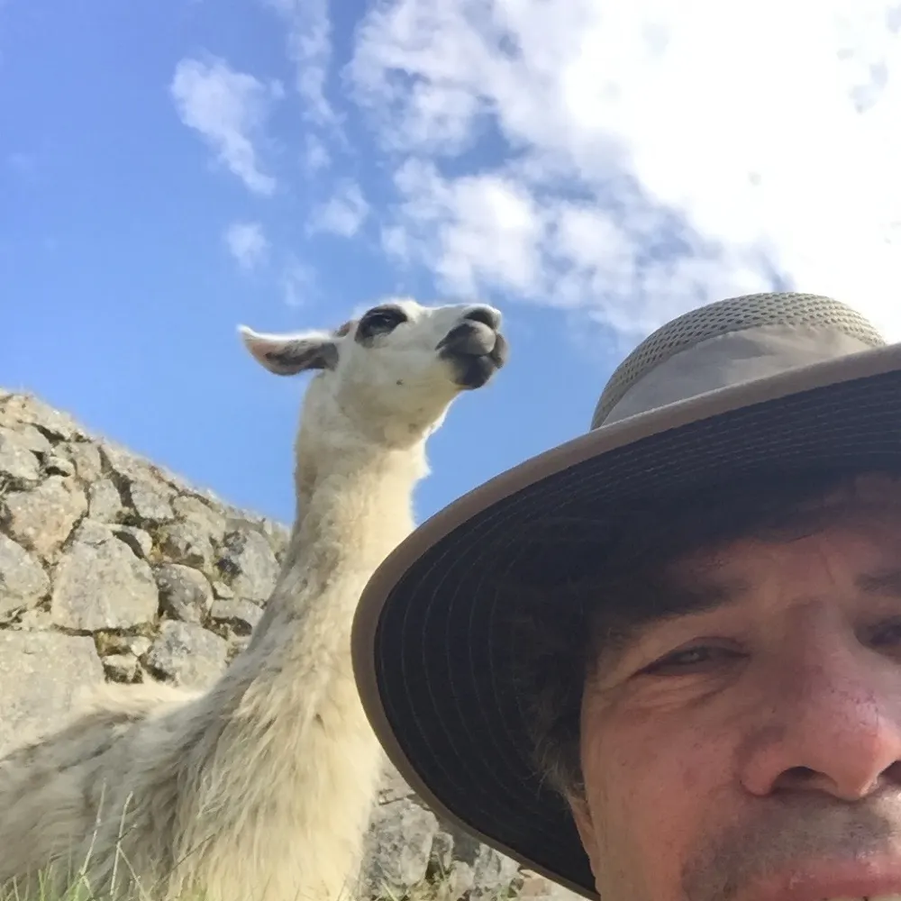 enahchine.bsky.social's profile picture