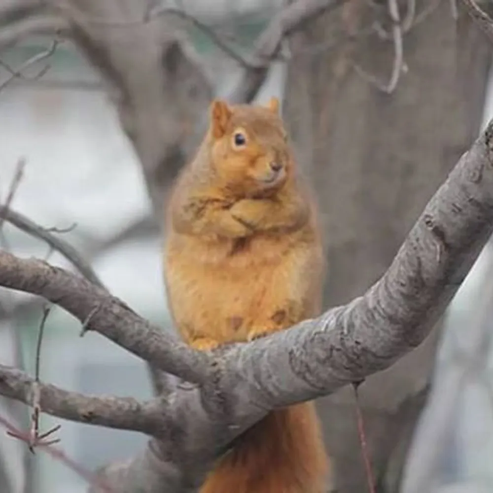 dweeze.bsky.social's profile picture