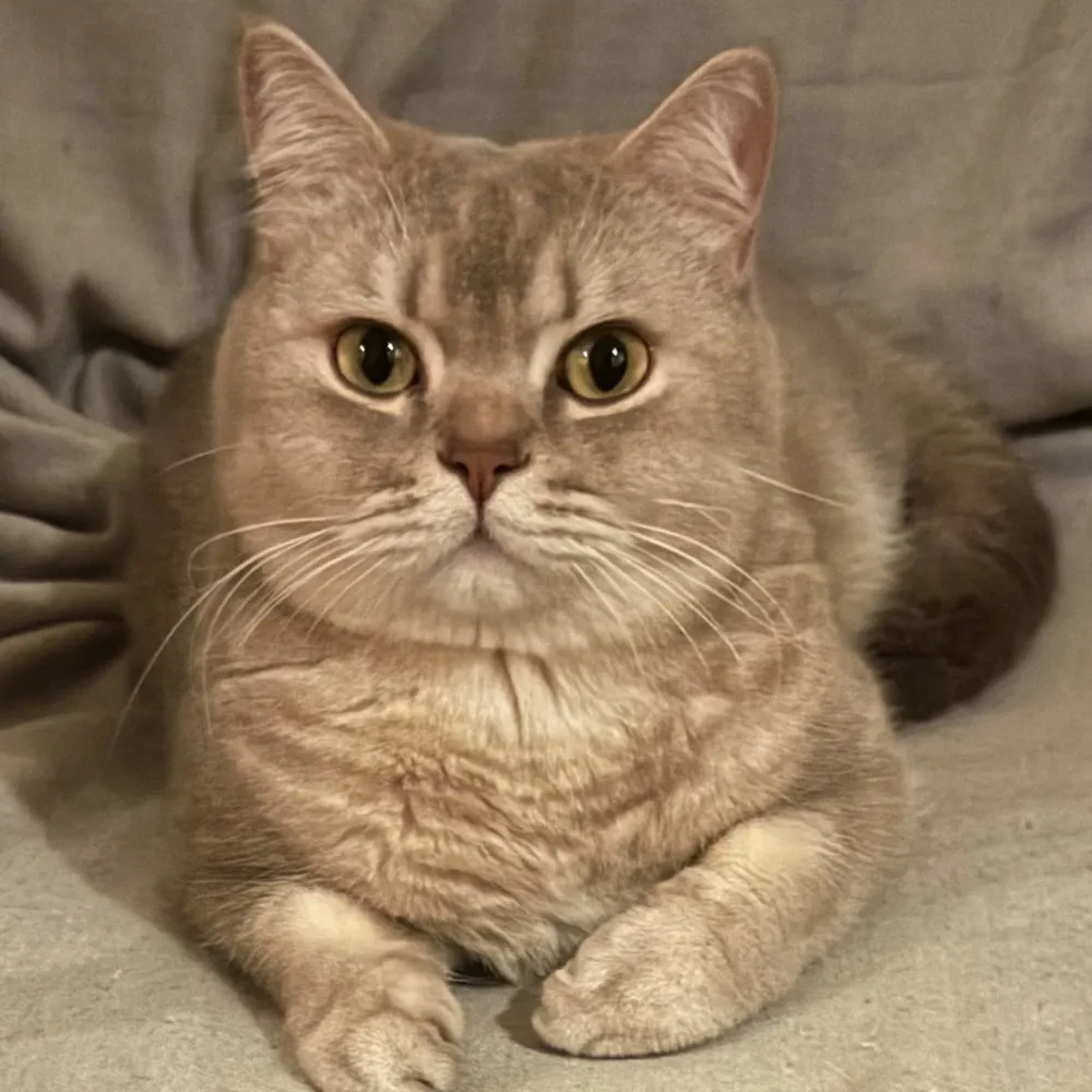 sciencematters71.bsky.social's profile picture