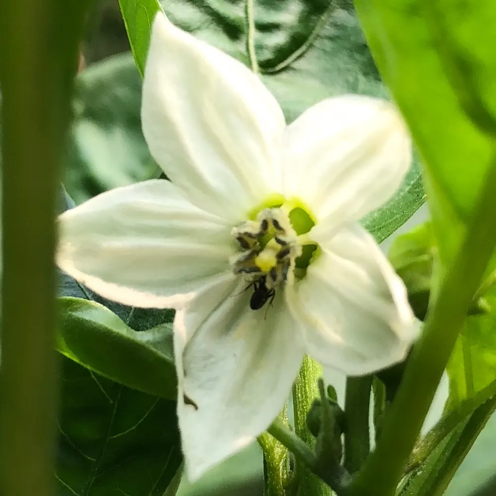 outaf-cks.bsky.social's profile picture