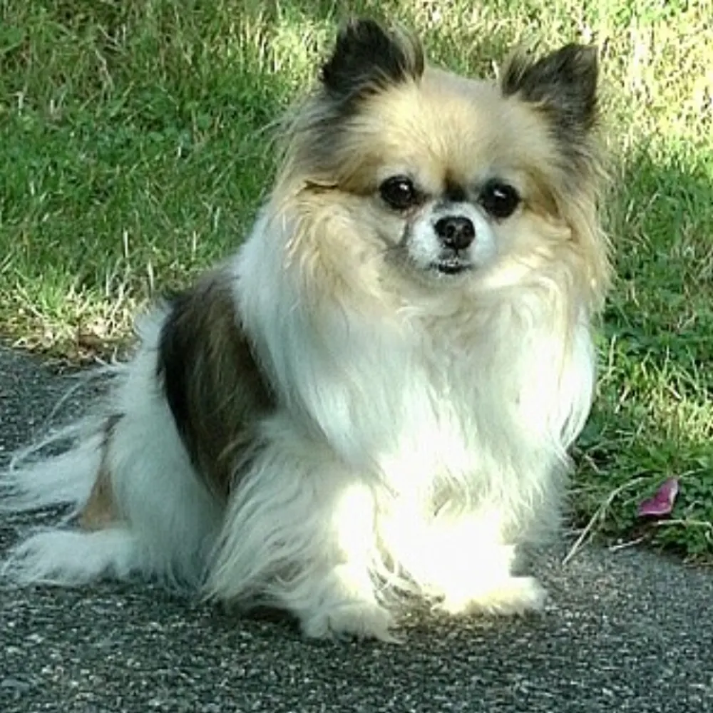 earthox.bsky.social's profile picture