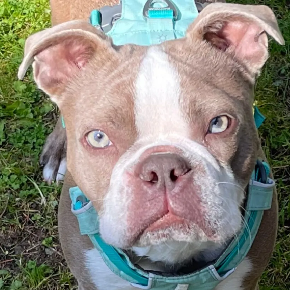 jaron17.bsky.social's profile picture