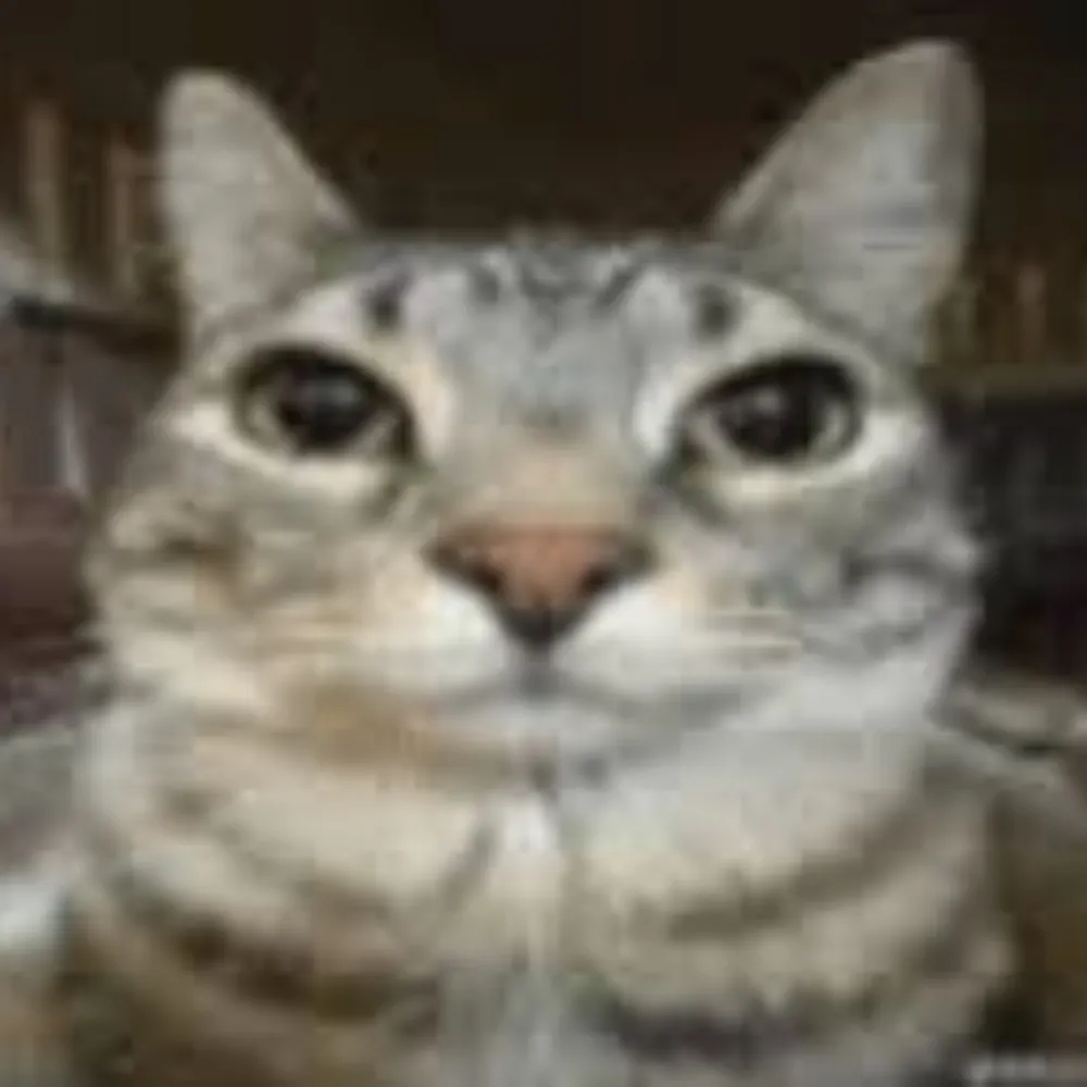 theshockwave48.bsky.social's profile picture