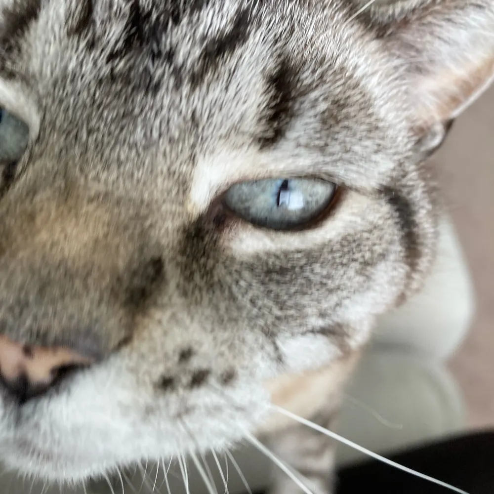 banks26505.bsky.social's profile picture