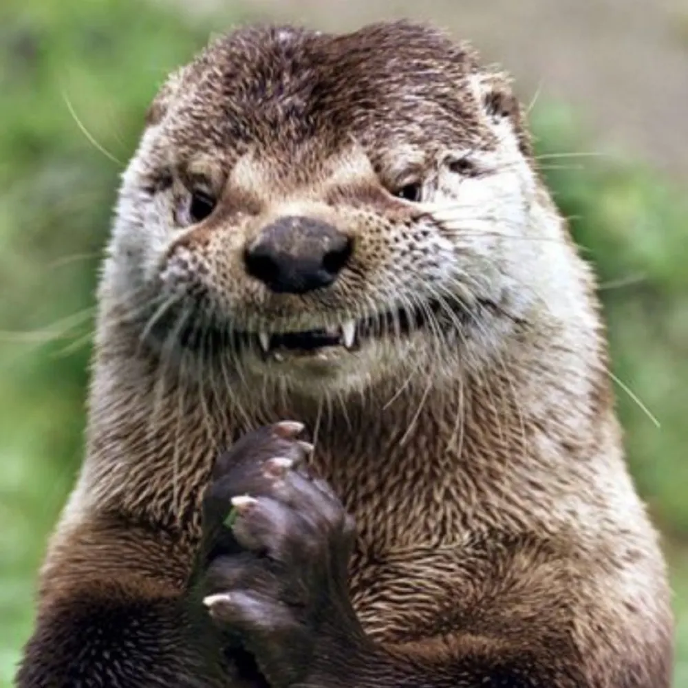 bergott.bsky.social's profile picture