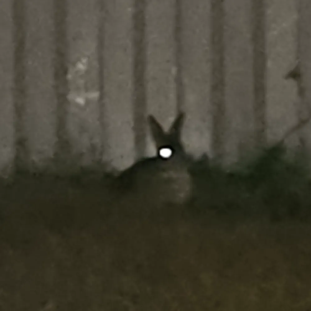 cielvonaefenleoht.bsky.social's profile picture