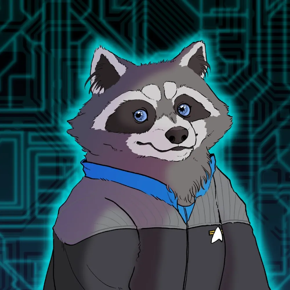 ristinraccoon.bsky.social's profile picture