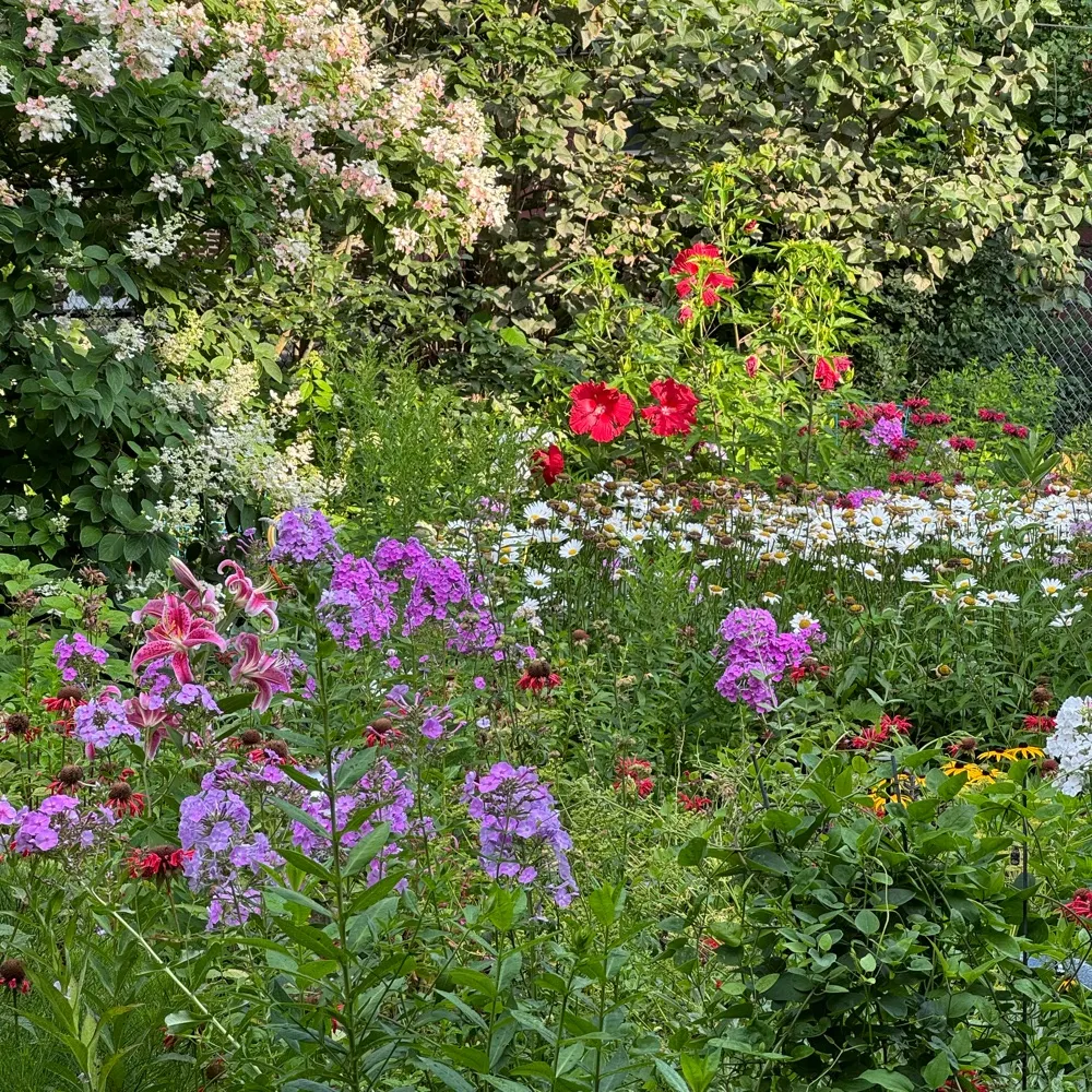 democracyisfragile.bsky.social's profile picture