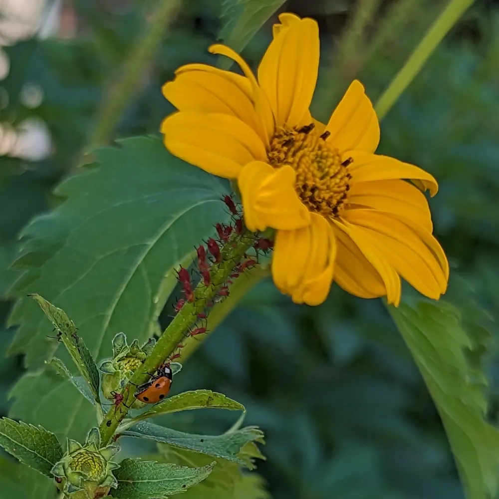 mrfasthorse.bsky.social's profile picture