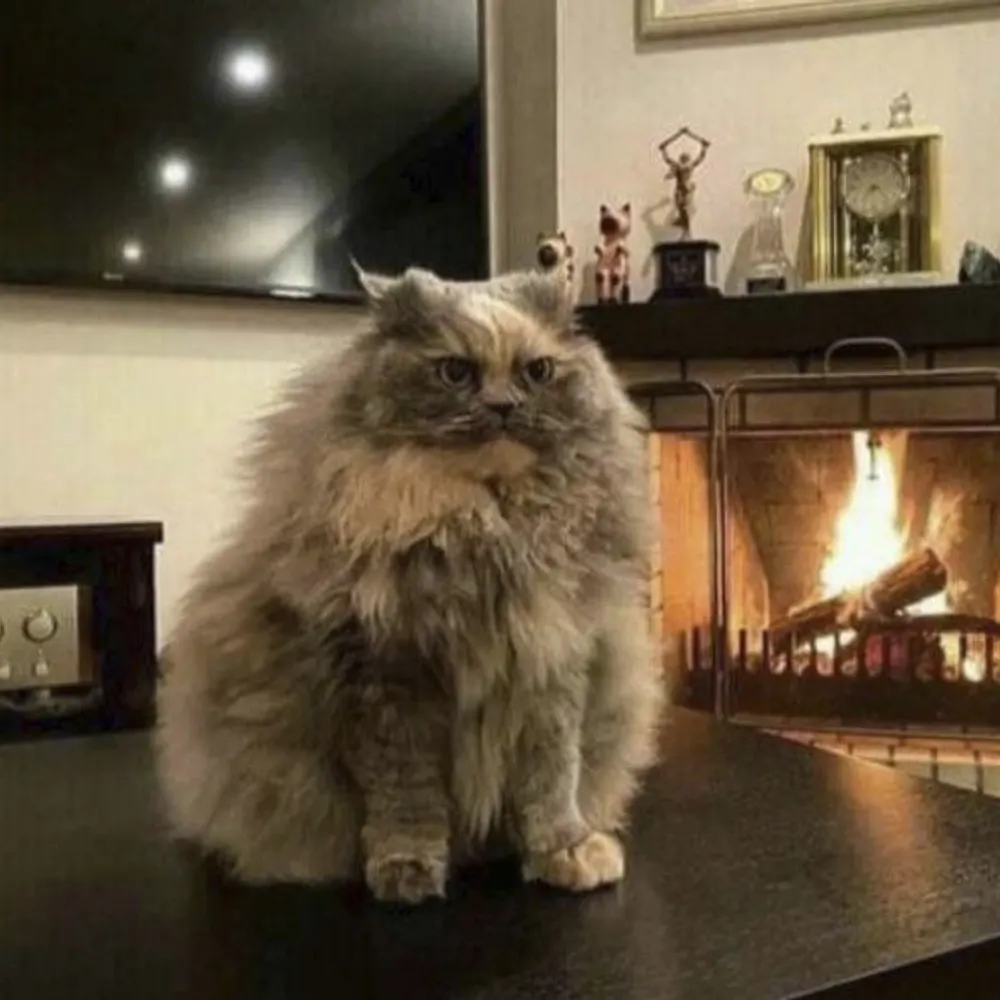 steve36893.bsky.social's profile picture