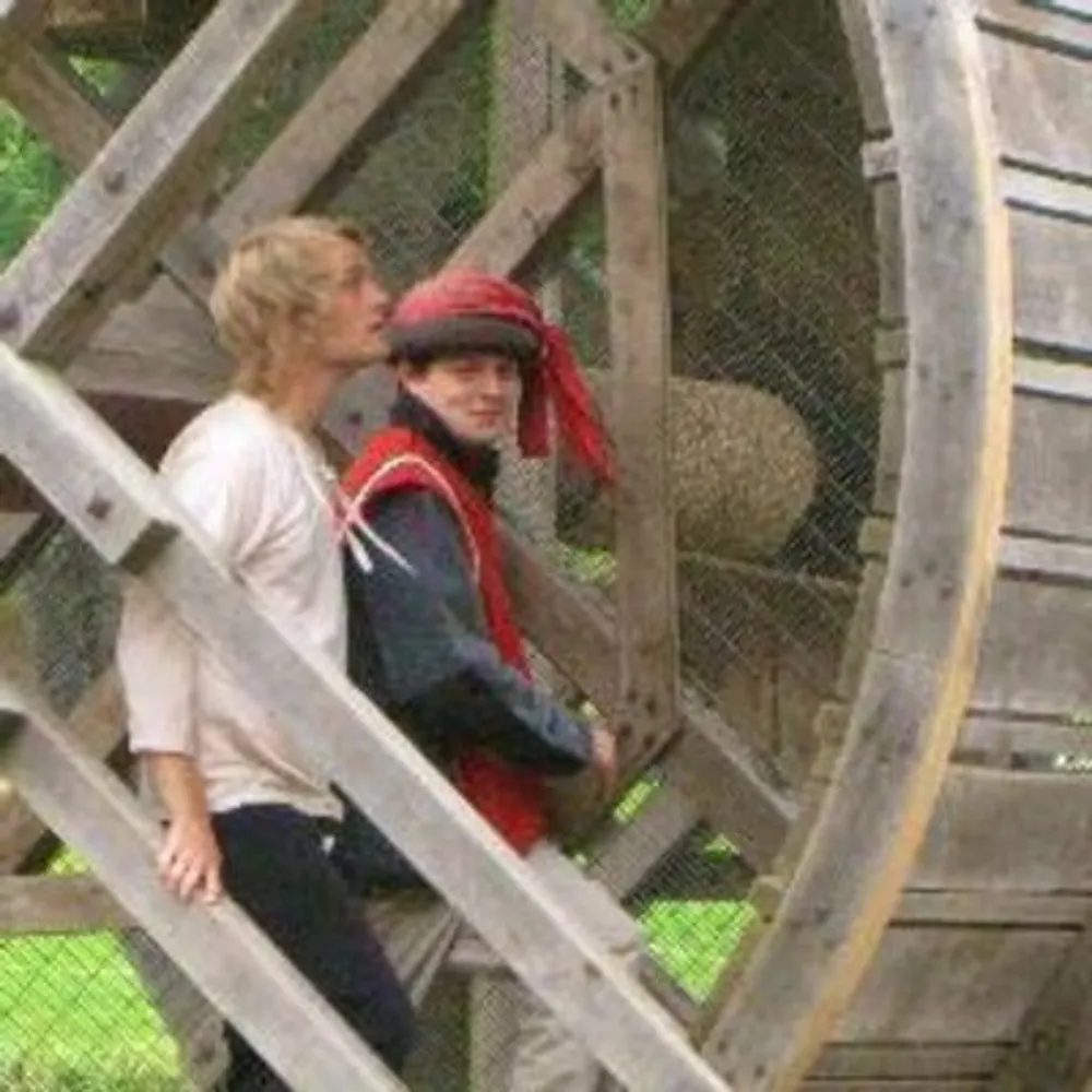 merovingians.bsky.social's profile picture