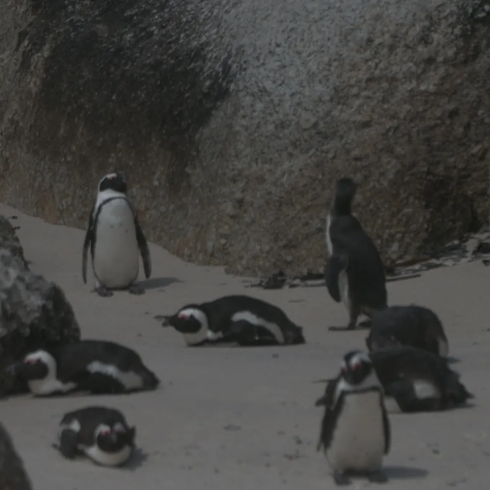 americanvagabond.bsky.social's profile picture