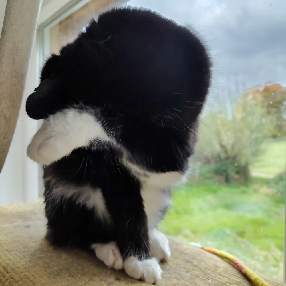 luukvanderwereld.bsky.social's profile picture