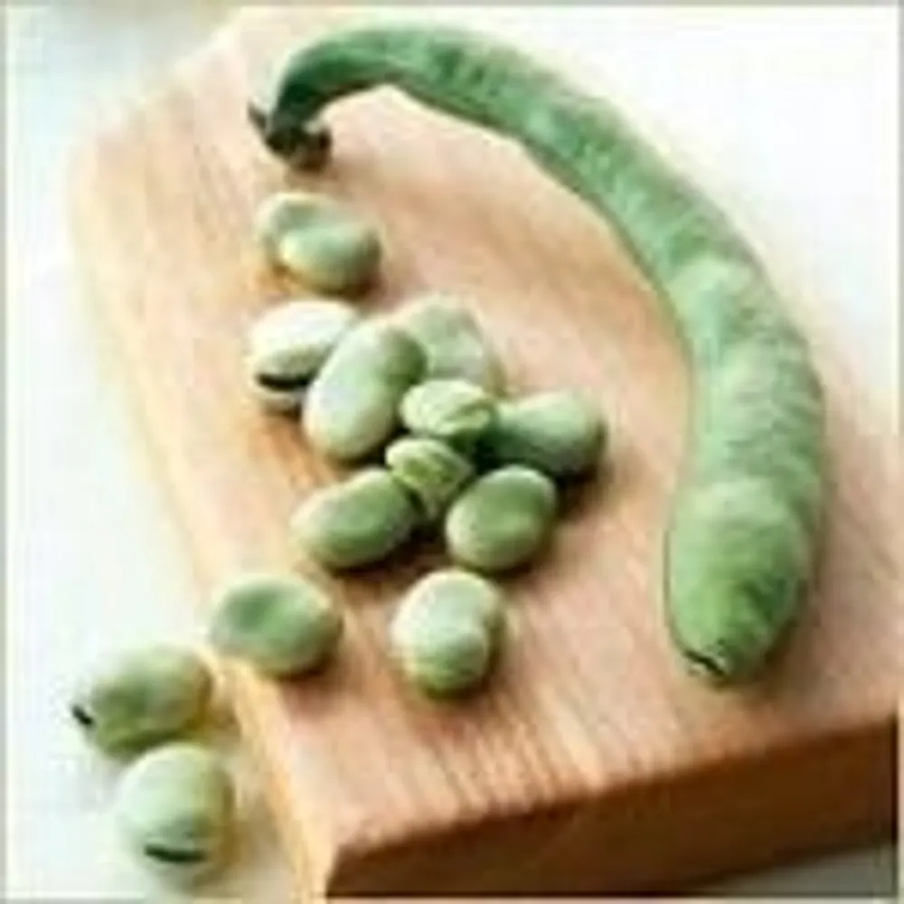 fava.bsky.social's profile picture