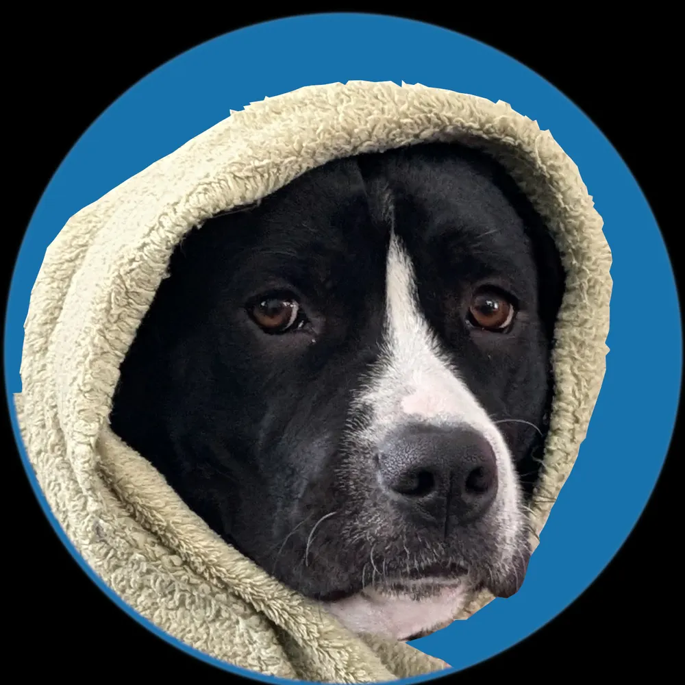 moonycoot.bsky.social's profile picture