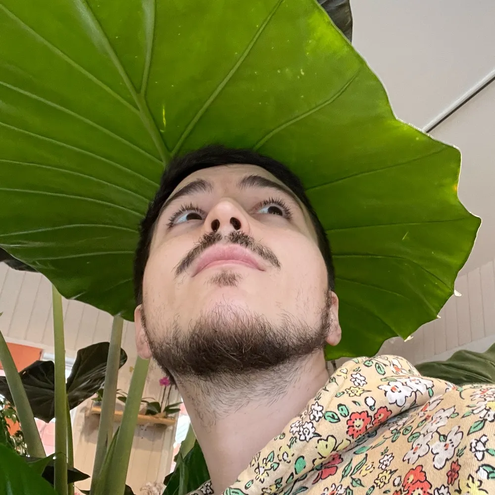 odeonftm.bsky.social's profile picture