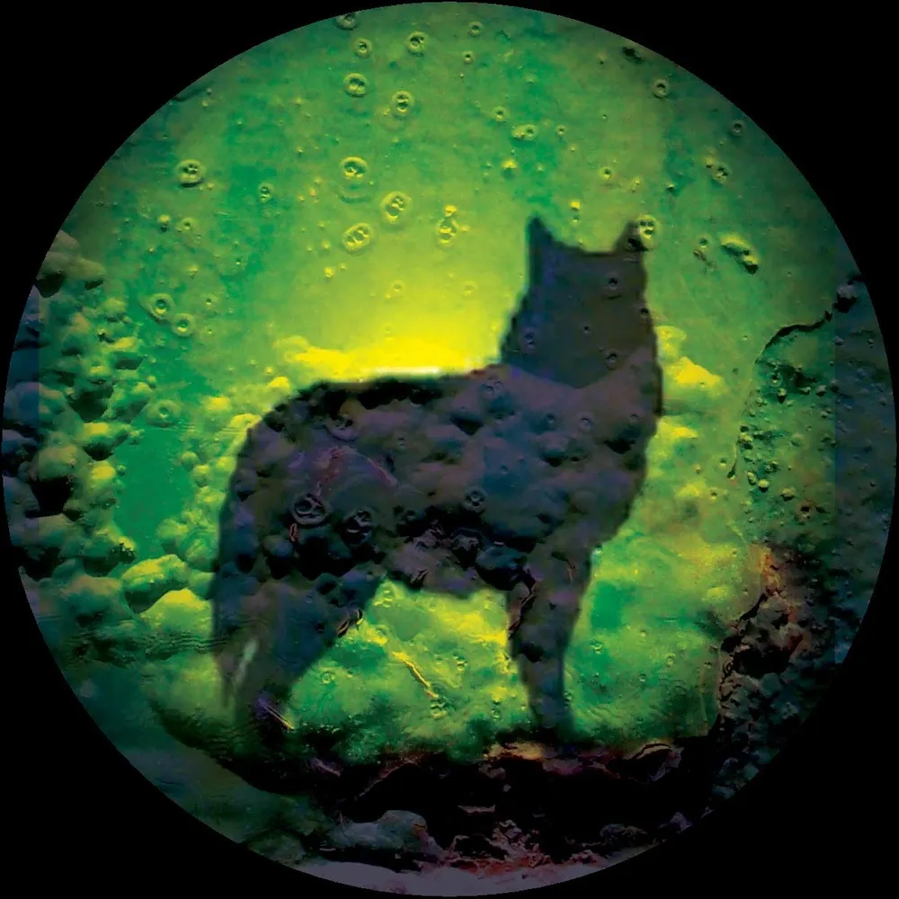 kompaktkiste.de's profile picture