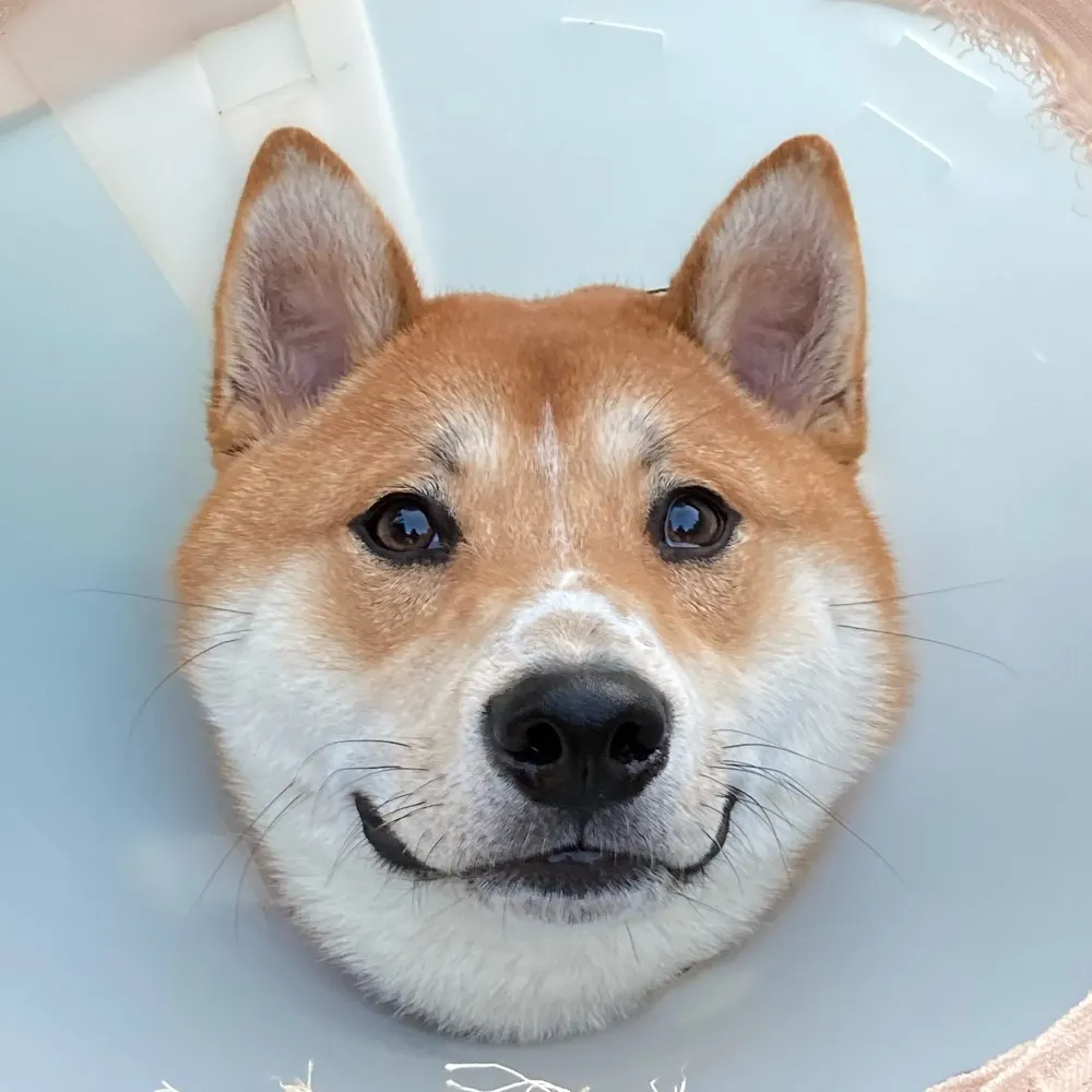 miked-up.bsky.social's profile picture