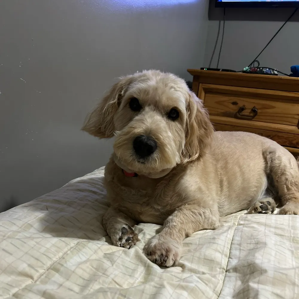 ftgop.bsky.social's profile picture