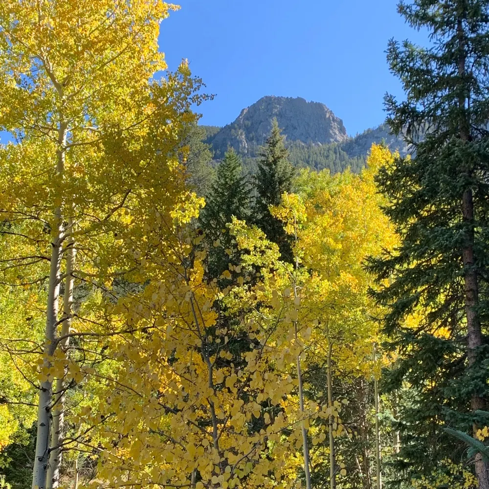 rockymtnrambler.bsky.social's profile picture