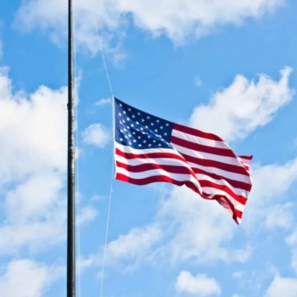 deehaydesigns.bsky.social's profile picture