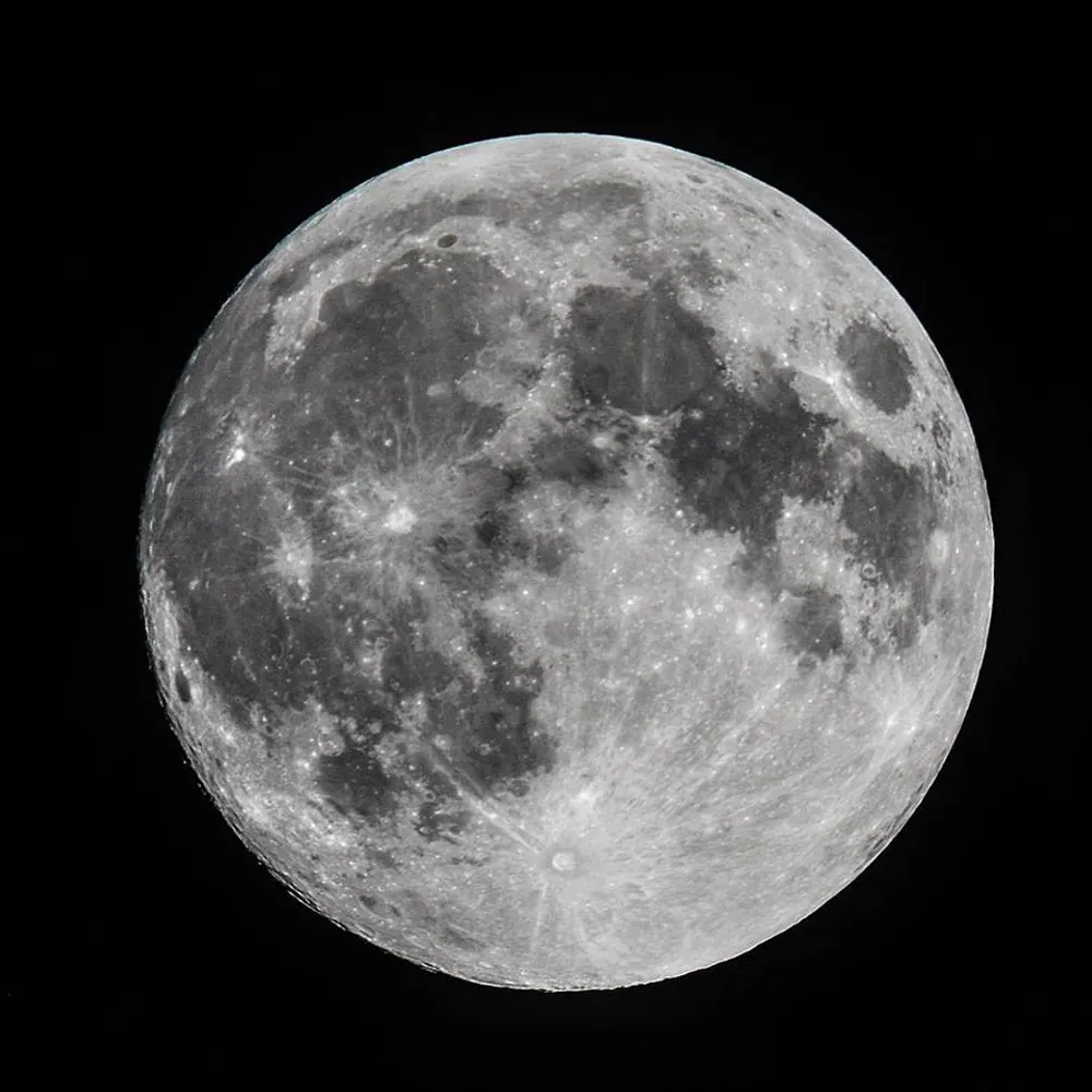 leerysnail.bsky.social's profile picture