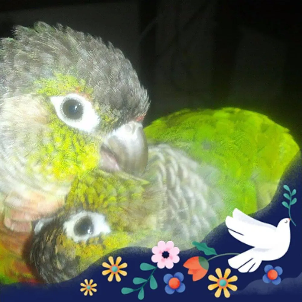 smagik.bsky.social's profile picture