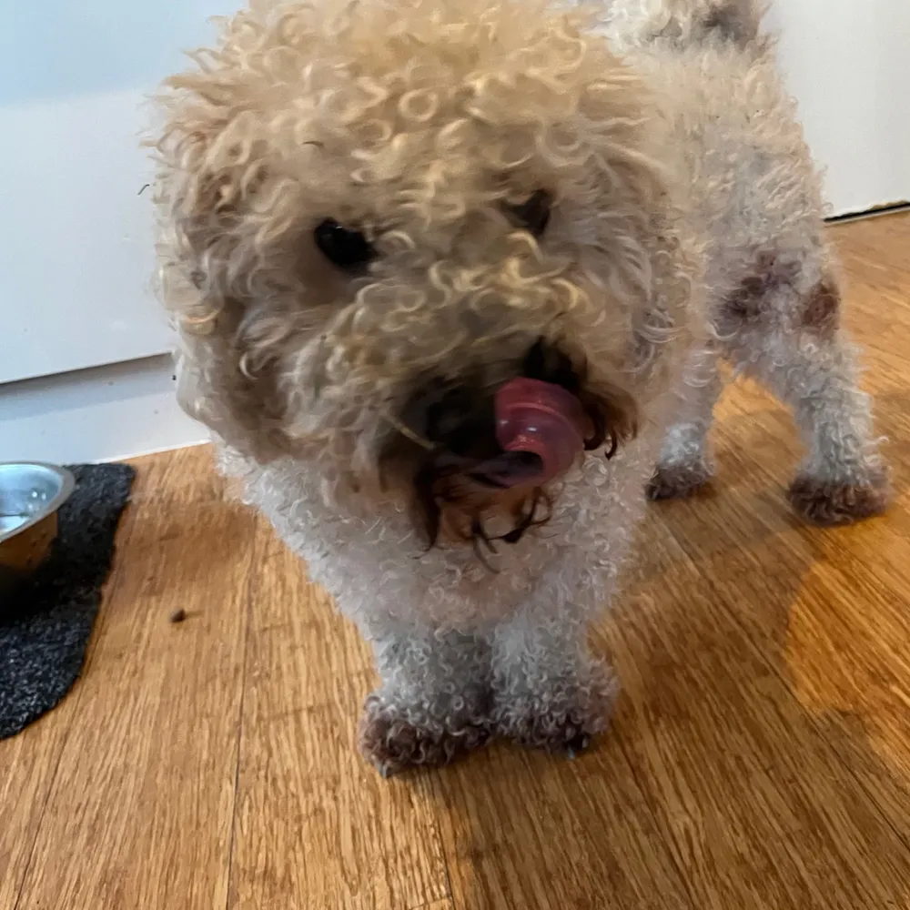 creativemercury.bsky.social's profile picture