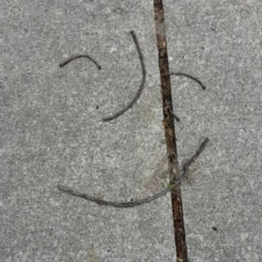 poptart2nd.bsky.social's profile picture