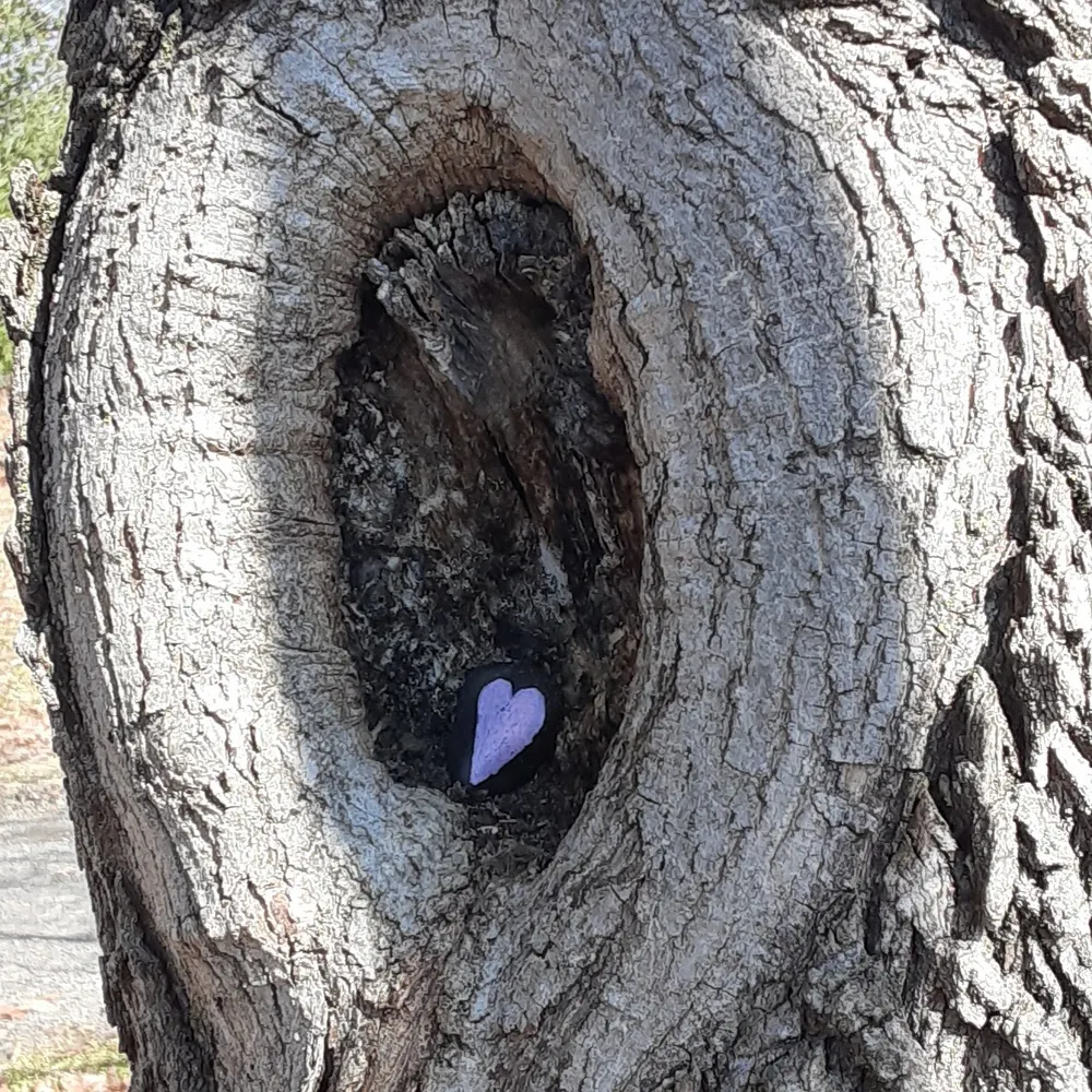 bwrites2025.bsky.social's profile picture