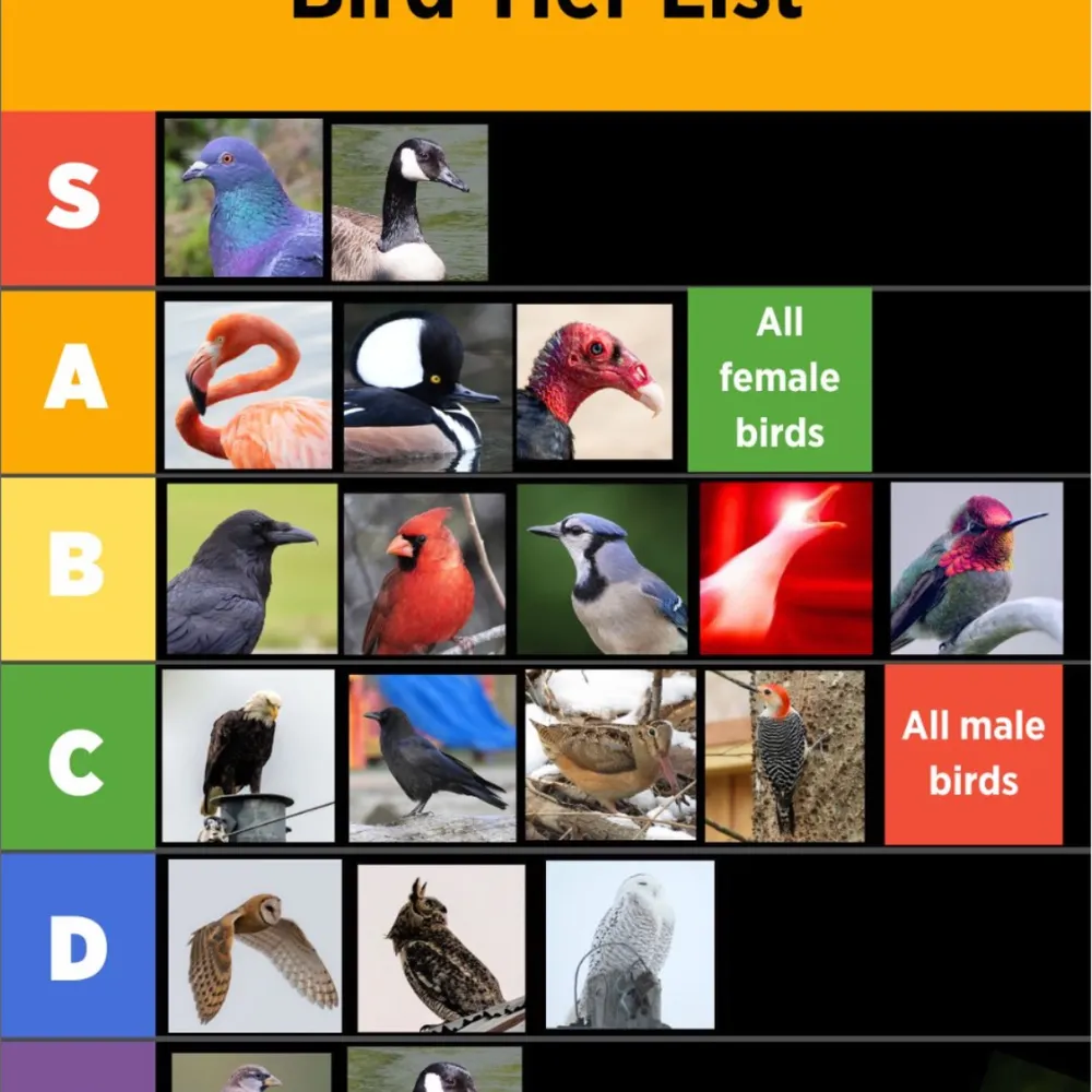 wizardsfan73.bsky.social's profile picture