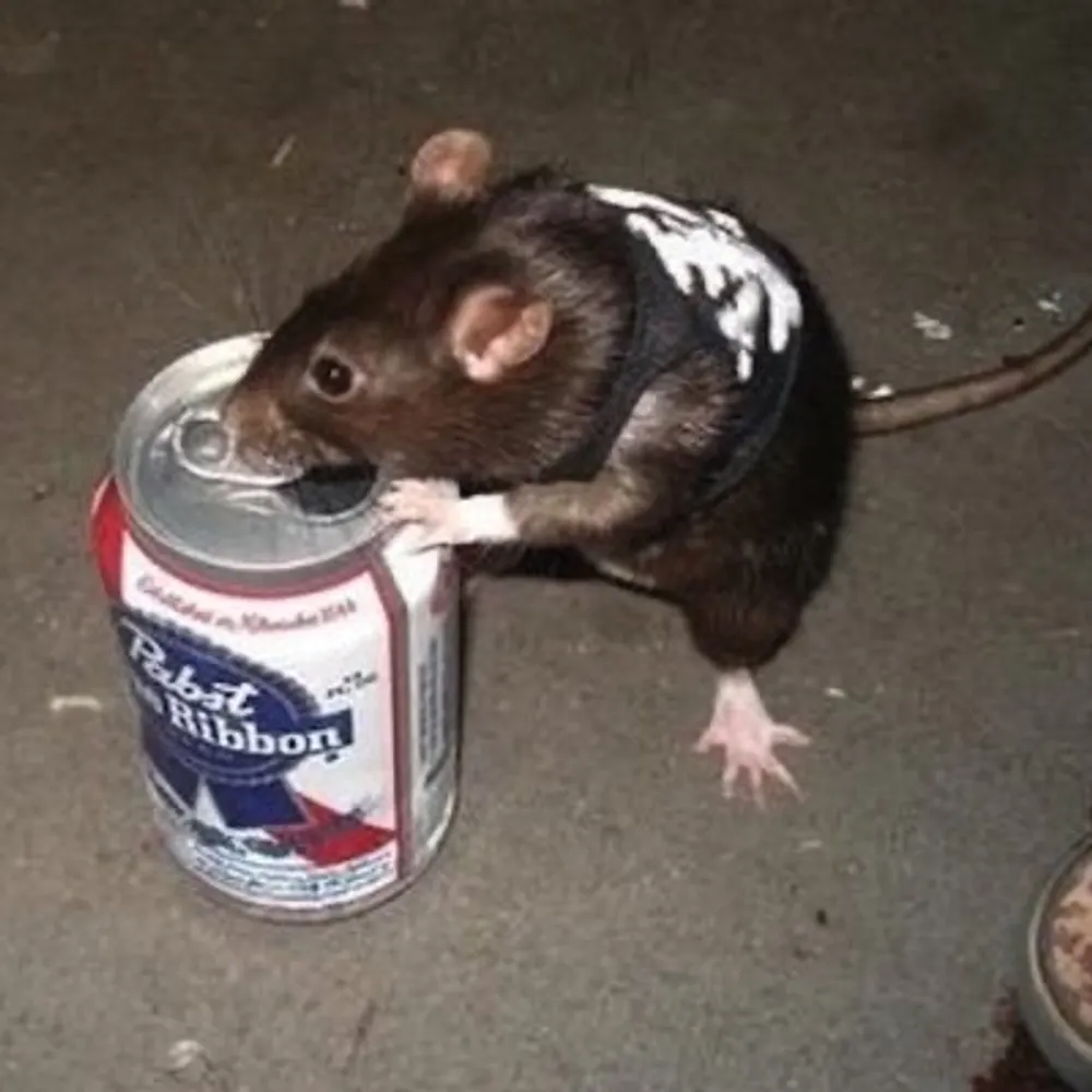 chunkhughes.bsky.social's profile picture