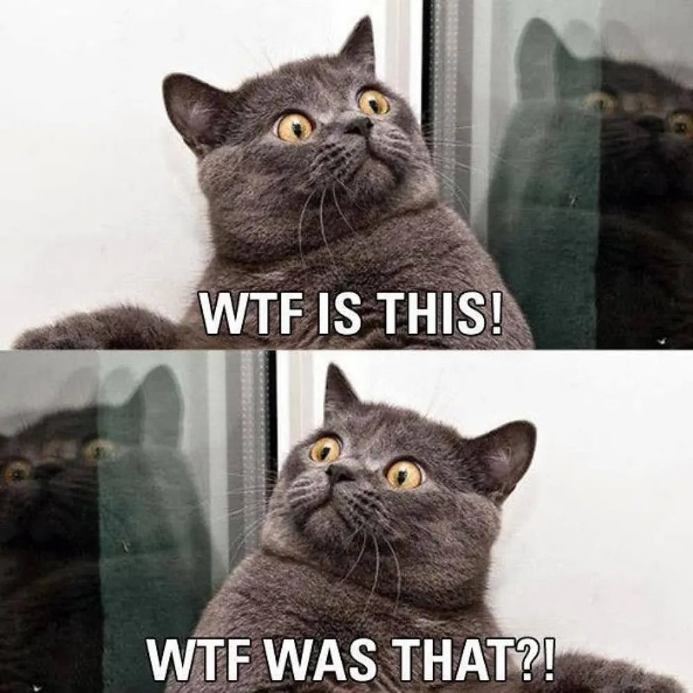 dcminx.bsky.social's profile picture