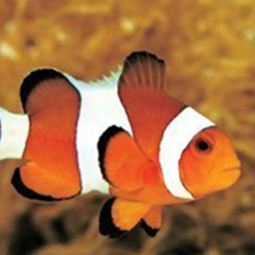 jaylionel.bsky.social's profile picture