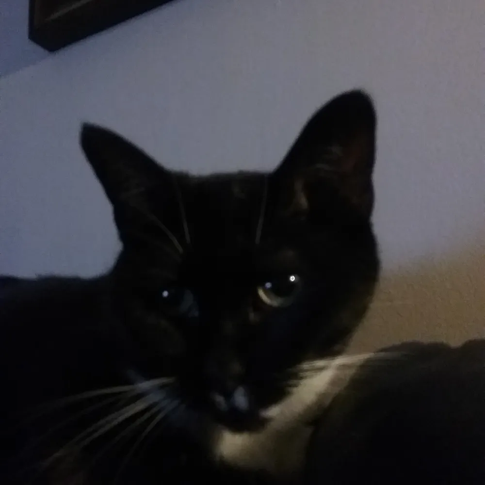 bselected.bsky.social's profile picture