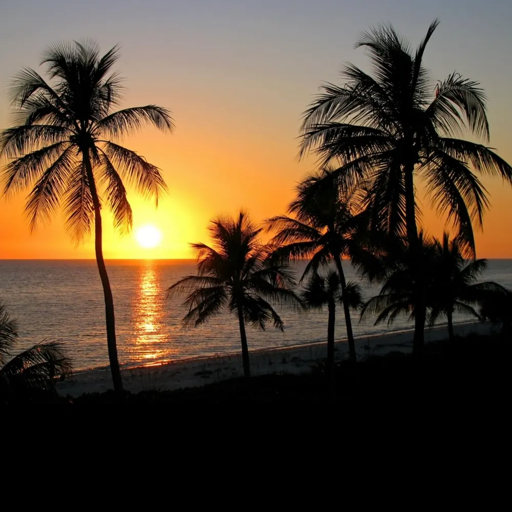 vhannahh.bsky.social's profile picture