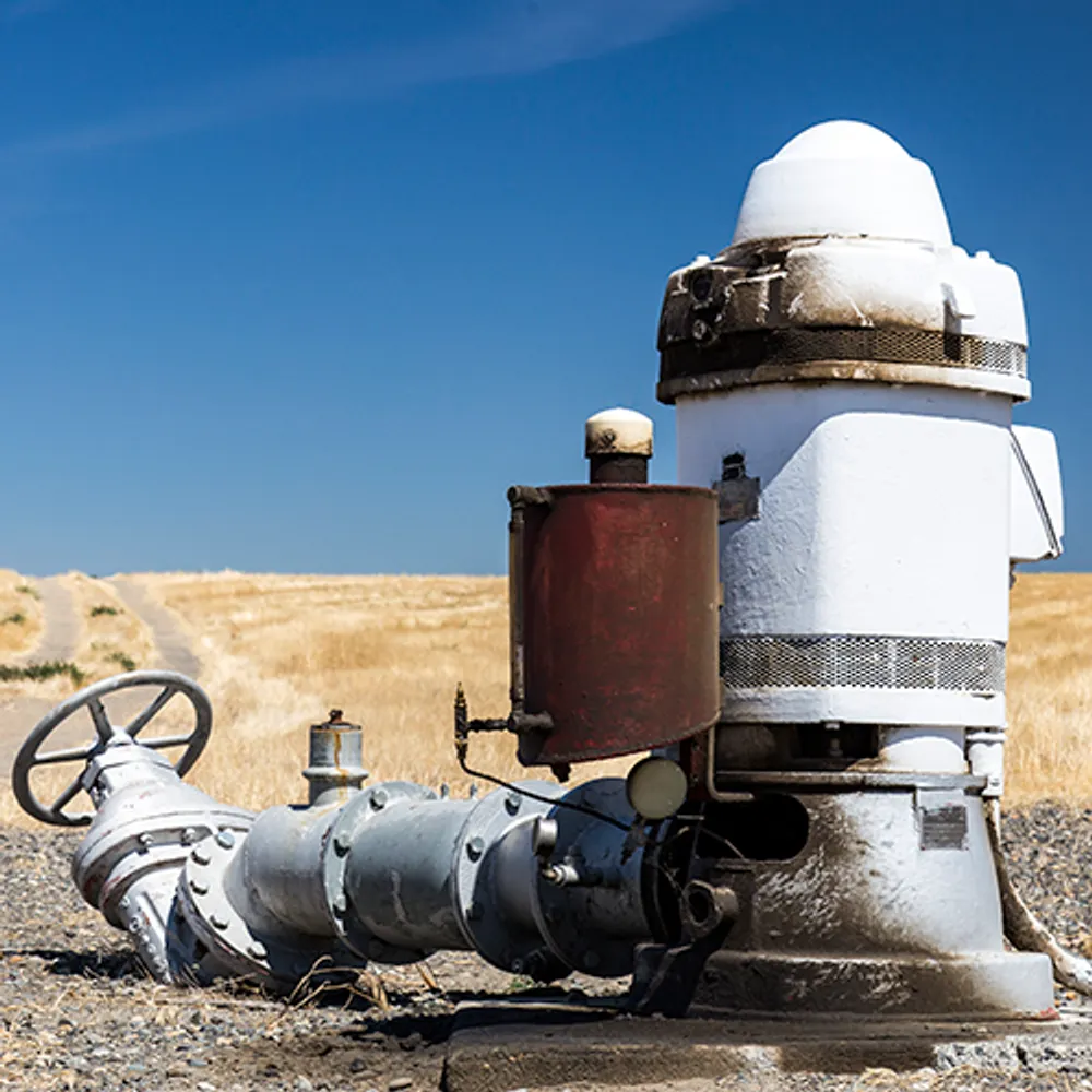 robotimpurity.com's profile picture