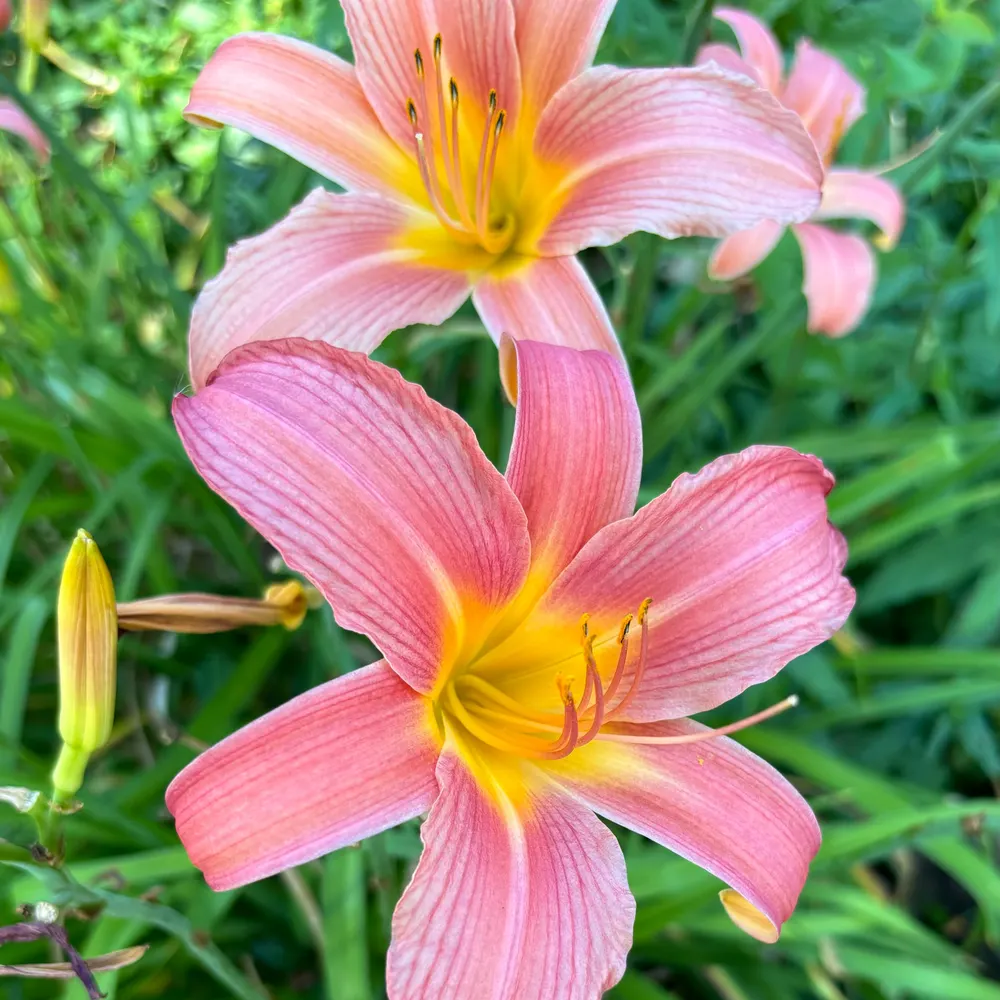 kathrynruud.bsky.social's profile picture